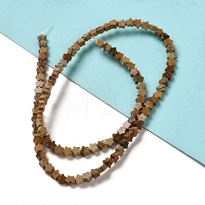 Natural Picture Jasper Beads Strands G-G085-B20-01-1