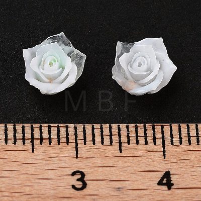 Luminous Resin Decoden Cabochons RESI-K036-50-1