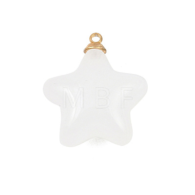 304 Stainless Steel Resin Pendants STAS-K322-11C-G-1