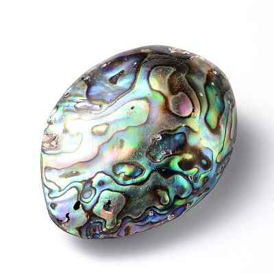 Oval Natural Paua Shell Beads SSHEL-F0008-01-1
