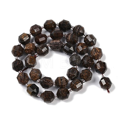 Natural Bronzite Beads Strands G-O201B-137G-1