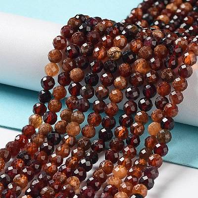Natural Garnet Beads Strands G-J400-E13-02-1