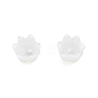 Natural White Shell Bead Caps SSHEL-G024-03B-1
