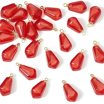 24Pcs Transparent Resin Pendants RESI-ME0001-20B-1