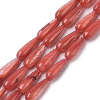 Natural Freshwater Shell Beads Strands SHEL-A004-03F-1