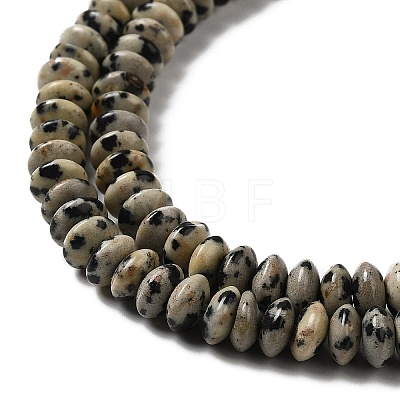 Natural Dalmatian Jasper Beads Strands G-Z030-A02-01-1