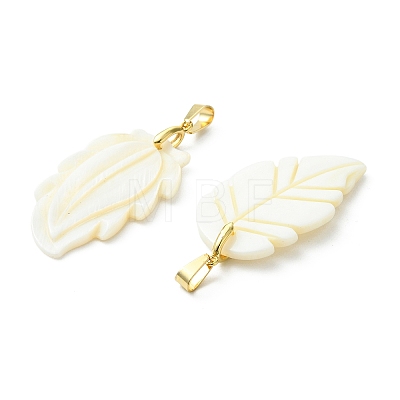 Natural Freshwater Shell Carved Pendants PALLOY-JF05384-1