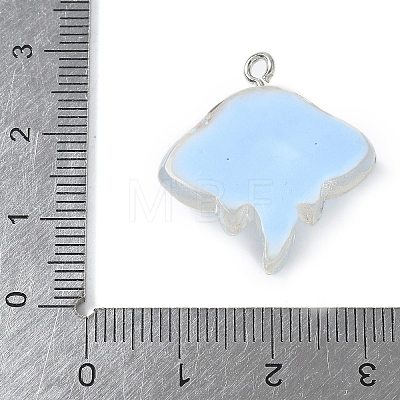 Resin Pendants FIND-A047-02P-01-1