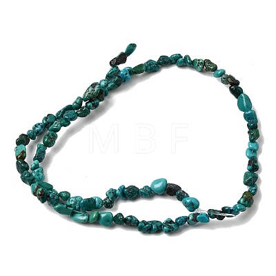 Natural HuBei Turquoise Bead Strands G-H345-A01-10-1