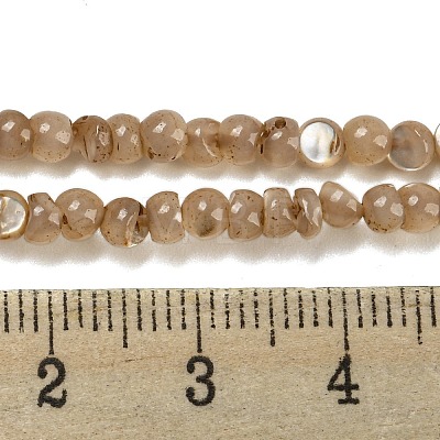 Natural White Shell Dyed Beads Strands BSHE-Z005-03A-1