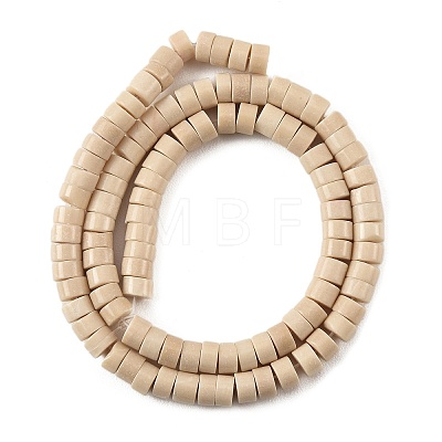 Natural Fossil Beads Strands G-M420-A10-01-1