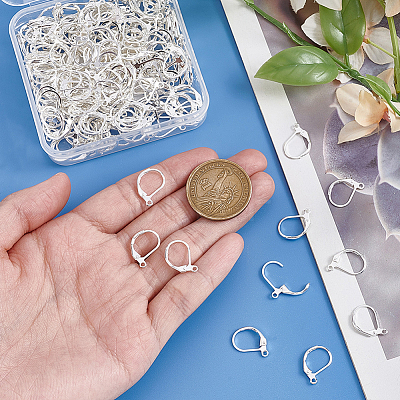 100Pcs 316L Surgical Stainless Steel Leverback Earring Findings STAS-BBC0010-61S-1