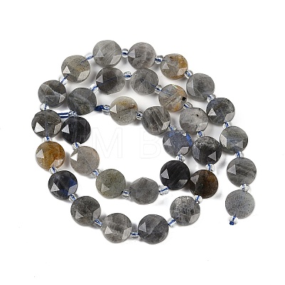 Natural Labradorite Beads Strands G-C116-A47-01-1