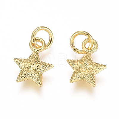 Electroplated Alloy Charms X-PALLOY-G267-09G-1
