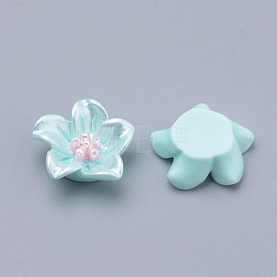 Imitation Pearl Resin Decoden Cabochons X-CRES-S302-32C-1