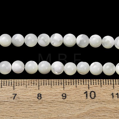Natural Trochid Shell/Trochus Shell Beads Strands SH-CBA2978-16A-1