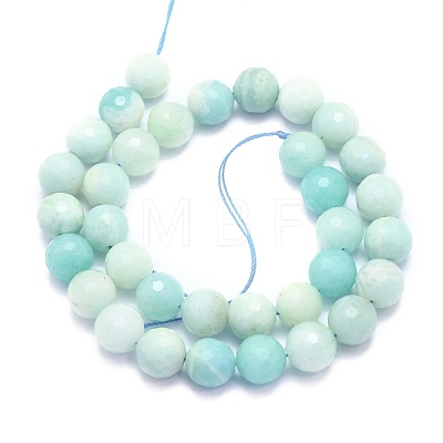 Natural Amazonite Beads Strands G-K310-A02-10mm-1