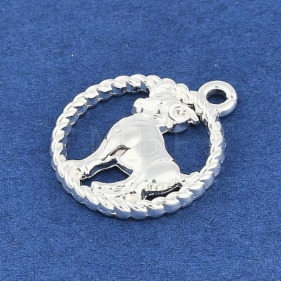 Twelve Constellations Alloy Pendants PALLOY-Q006-01H-S-1