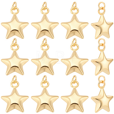 12Pcs Brass Pendants KK-BBC0026-19-1