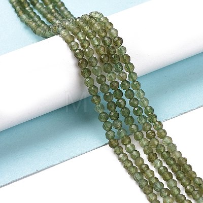 Natural Green Apatite Beads Strands G-I348-01-1