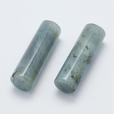 Natural Labradorite Beads G-G760-L01-1