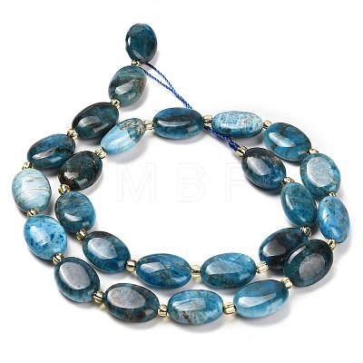 Natural Apatite Beads Strands G-H005-A03-02-1