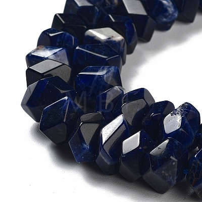 Natural Sodalite Beads Strands G-D091-A05-1