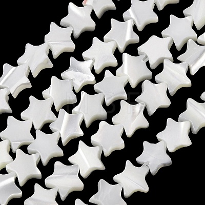 Natural Trochid Shell/Trochus Shell Beads Strands SH-CBA2978-17A-1