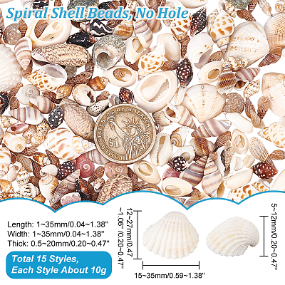  15 Styles Natural Shell Display Decorations FIND-NB0003-18-1