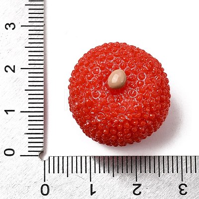 Fruit Theme Opaque Resin Cabochons RESI-C079-02A-1