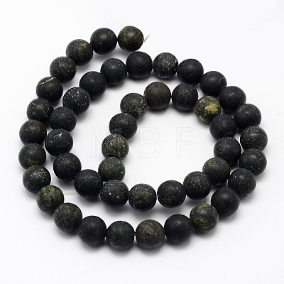 Natural Serpentine/Green Lace Stone Beads Strands G-D676-10mm-1