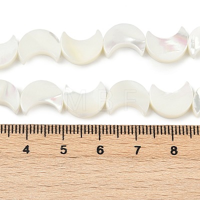 Natural White Shell Beads Strands SSHEL-10X12-1