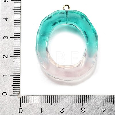 Resin Pendant FIND-Q107-01O-01-1