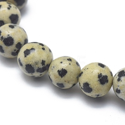 Natural Dalmatian Jasper Bead Stretch Bracelets X-BJEW-K212-A-014-1