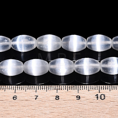 Dyed Natural Selenite Beads Strands G-T138-233A-1