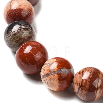 Natural Red Snakeskin Jasper Beads Strands G-H298-A02-05-1