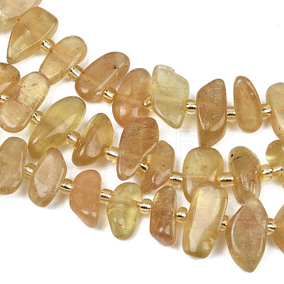 Natural Yellow Apatite Beads Strands G-L657-E06-01-1