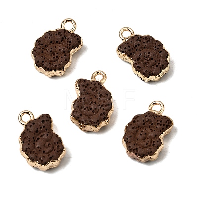 Dyed Synthetic Lava Rock Pendants G-P614-05G-04-1