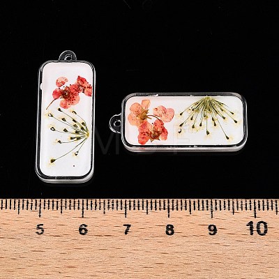 Epoxy Resin Pendants RESI-T058-02I-1