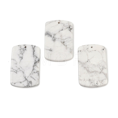 Natural Howlite Pendants G-K354-14I-1