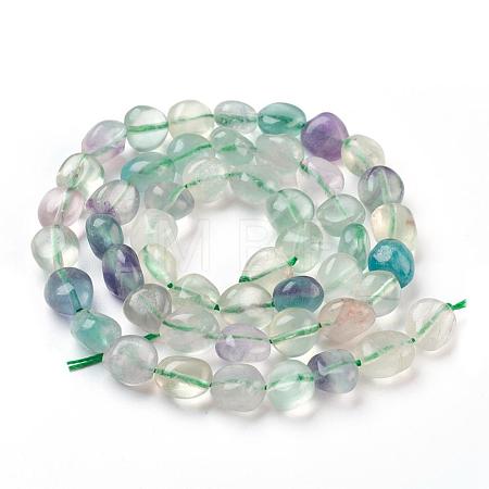 Natural Fluorite Beads Strands G-F575-18A-1