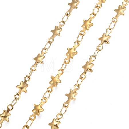 304 Stainless Steel Link Chains STAS-P219-74G-1