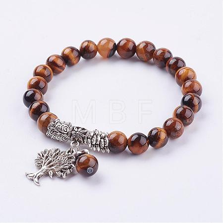 Natural Tiger Eye Stretch Bracelets BJEW-F262-A12-1