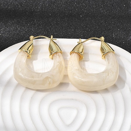 Brass Resin Hoop Earrings EJEW-P333-11D-G01-1
