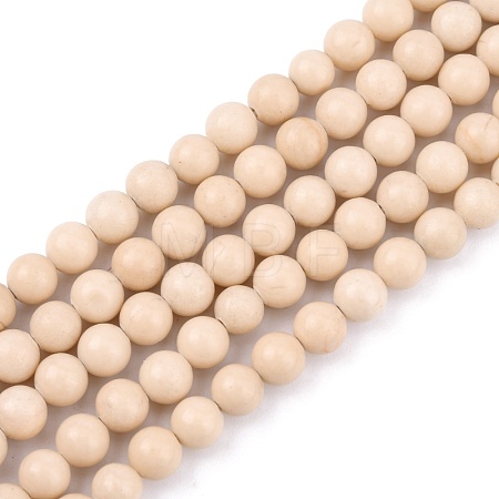 Natural Fossil Beads Strands G-E110-6mm-2-1