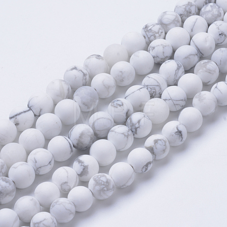 Natural Howlite Beads Strands G-T055-10mm-02-1