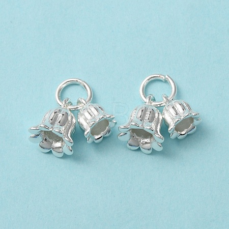 Rack Plating Brass Charms KK-C020-02S-1
