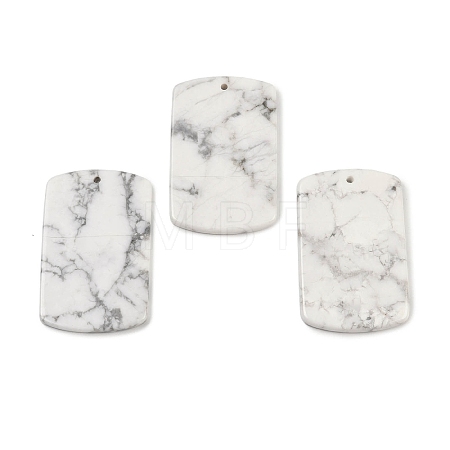 Natural Howlite Pendants G-K354-14I-1