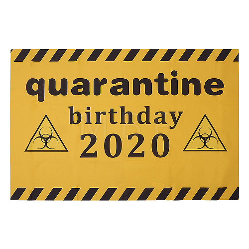 2020 Quarantine Birthday Decorations AJEW-GF0001-64A-1