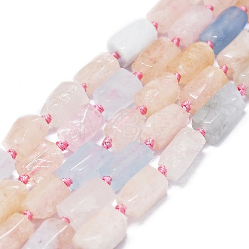 Natural Morganite Beads Strands G-O170-115-1